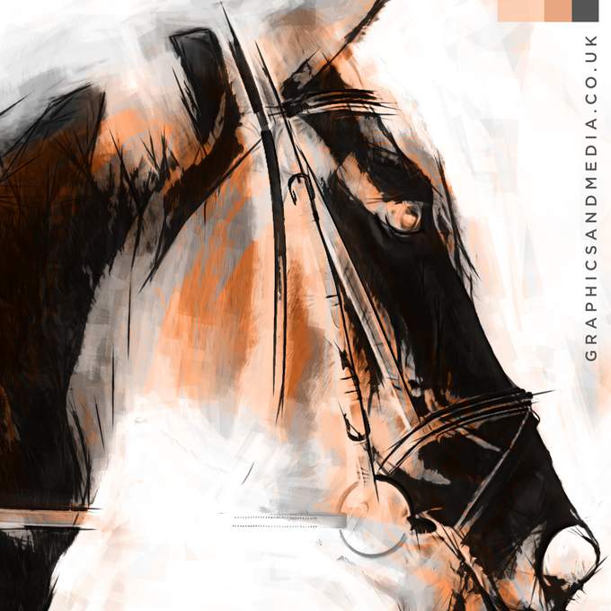 Horse and equine illustration and art North Yorkshire