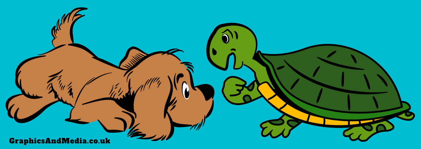 Yorkshire Dog and Tortoise - Yorkshire Illustration and digital media specialist. York Leeds Scarborough web design graphic design animation 3d and interactive media